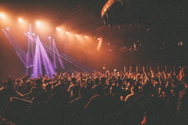 Building a Fanbase From Scratch: Where to Actually Start